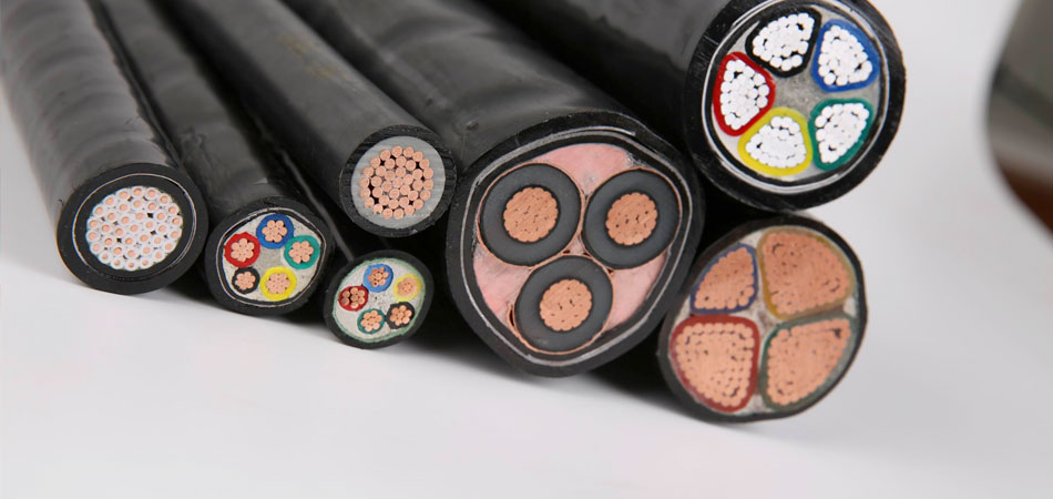 1555032418.jpg 1555032418.jpg